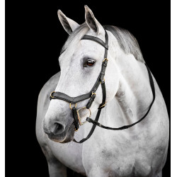 Brida Horseware Micklem® Multi