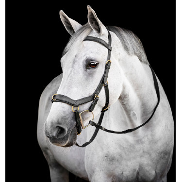 Brida Horseware Micklem® Multi