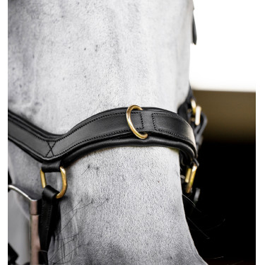 Brida Horseware Micklem® Multi
