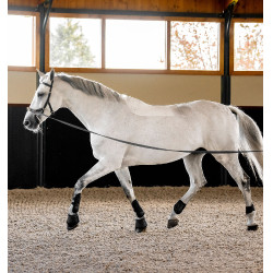 Brida Horseware Micklem® Multi