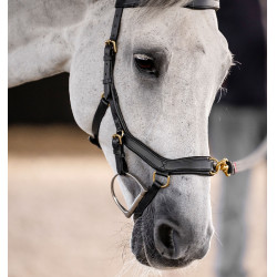 Brida Horseware Micklem® Multi