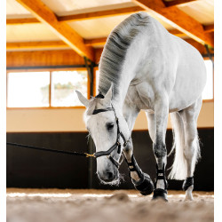 Brida Horseware Micklem® Multi