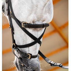 Brida Horseware Micklem® Multi