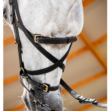 Brida Horseware Micklem® Multi
