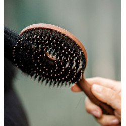 Cepillo para crines y cola Horseware