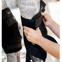 Guarniciones para corvejones Horseware Ionic Therapy