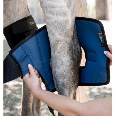 Guarniciones para corvejones Horseware Ionic Therapy
