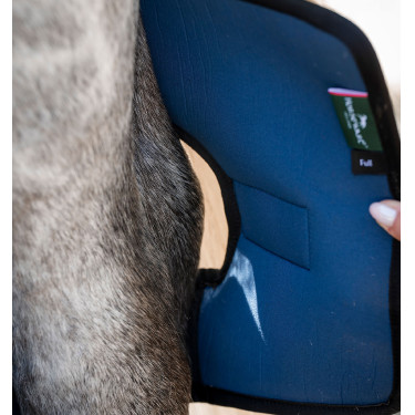 Guarniciones para corvejones Horseware Ionic Therapy