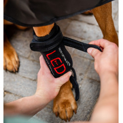 Vendas de terapia con luz roja LED para las patas de mascotas Horseware Par juego