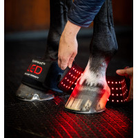 Mini vendas de terapia con luz roja LED Horseware Lote de 4 Negro / negro