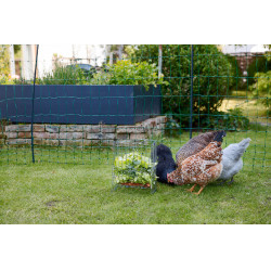 Henera para pequeños animales Henera para pequeños animales