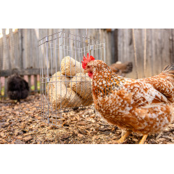Henera para pequeños animales Henera para pequeños animales