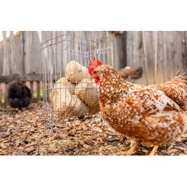 Henera para pequeños animales Henera para pequeños animales