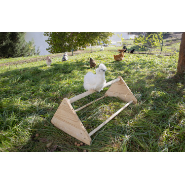 Percha para gallinas Percha para gallinas