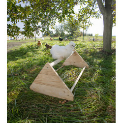 Percha para gallinas Percha para gallinas