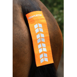 Correa de cola reflectante para equitación Shires