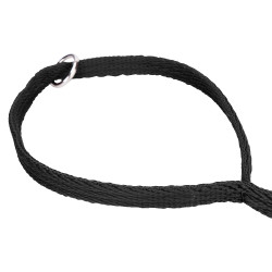 Correa acolchada para perro Shires Digby & Fox – equitación