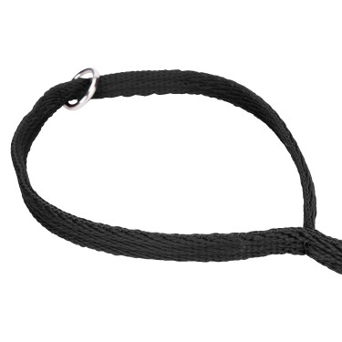 Correa acolchada para perro Shires Digby & Fox – equitación
