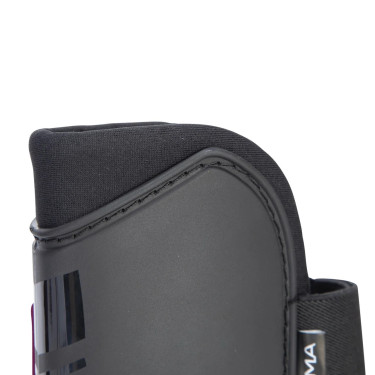 Guetres equitación salto Shires Arma Nx-Jmp