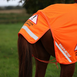 Manta de grupa reflectante para equitación Shires