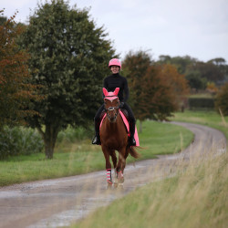 Casco Shires Equi-Flector® Rosa Casco Shires Equi-Flector® Rosa
