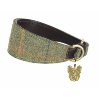 Collar de tweed para galgo Shires Digby & Fox Cuadros rojo / amarillo / azul Motifs