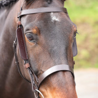 Anteojeras de cuero Shires Velociti Gara Negro