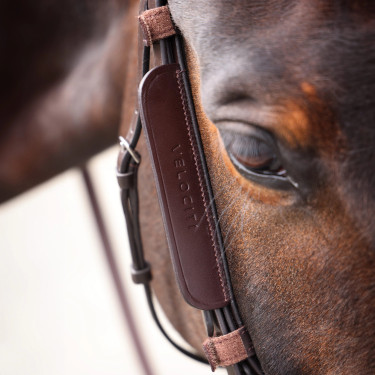 Anteojeras de cuero Shires Velociti Gara Castaño Marrón Anteojeras de cuero Shires Velociti Gara Castaño Marrón
