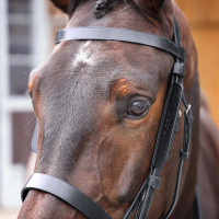 Anteojeras de cuero Shires Velociti Gara Negro