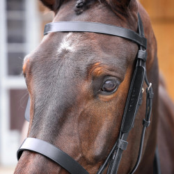 Anteojeras de cuero para equitación Shires Velociti GARA