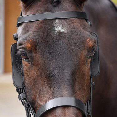Anteojeras de cuero para equitación Shires Velociti GARA