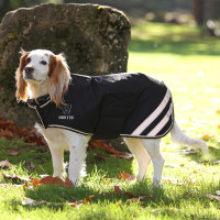Abrigo impermeable para perro Shires Digby & Fox Negro