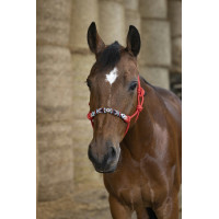 Cabezada etológica Norton Pearl Roja