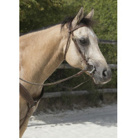 Cabezada de montar Westride by Franck Perret Colorado Chocolate