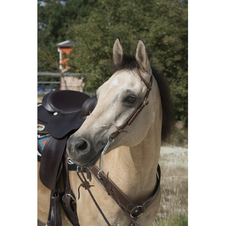Cabezada de montar Westride by Franck Perret 1 oreille Cabezada de montar Westride by Franck Perret 1 oreille