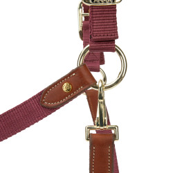 Cabezada de cuadra Porto ARMA Shires para equitación
