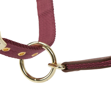 Cabezada de cuadra Porto ARMA Shires para equitación