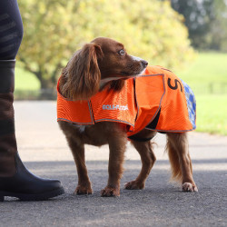 Abrigo reflectante para perro Equi-Flector de equitación