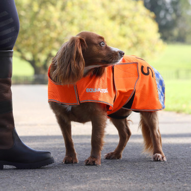 Abrigo reflectante para perro Equi-Flector de equitación