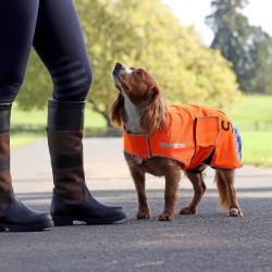 Abrigo reflectante para perro Equi-Flector de equitación