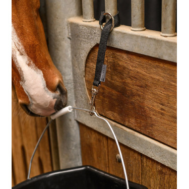Soporte funcional para cubo salero y juguete para caballo