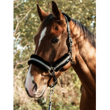 Cabezada Mountain Horse
