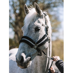 Cabezada Mountain Horse