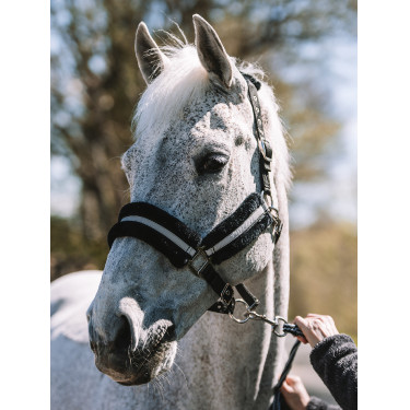 Cabezada Mountain Horse