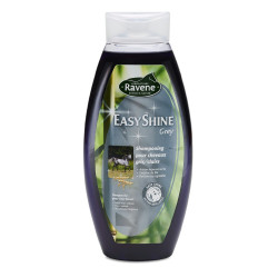 TECHNIGLOSS GEL TECHNIGLOSS GEL