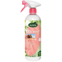 EASY SHINE LUSTRANT