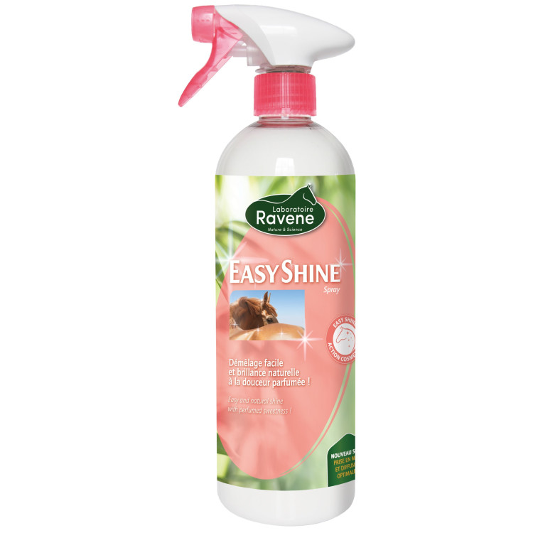 EASY SHINE LUSTRANT EASY SHINE LUSTRANT