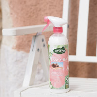 EASY SHINE LUSTRANT EASY SHINE LUSTRANT