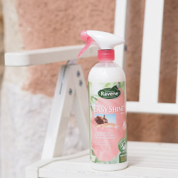 EASY SHINE LUSTRANT EASY SHINE LUSTRANT