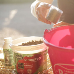Nutrilife + Ravene Nutrilife + Ravene
